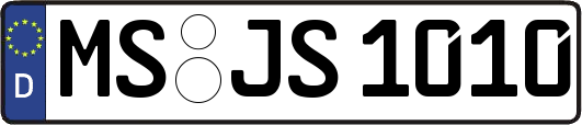MS-JS1010