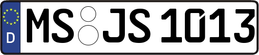 MS-JS1013