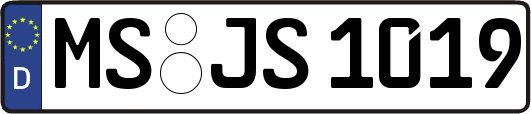 MS-JS1019