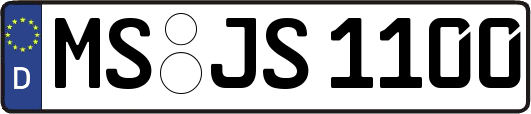 MS-JS1100