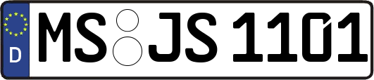 MS-JS1101