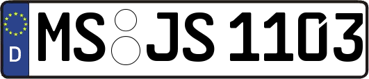 MS-JS1103