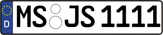 MS-JS1111