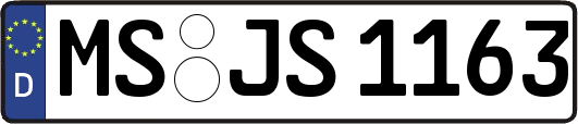 MS-JS1163