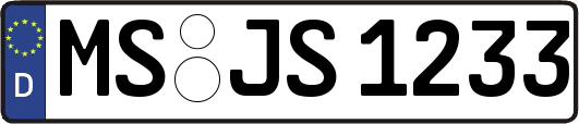 MS-JS1233