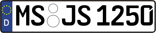 MS-JS1250