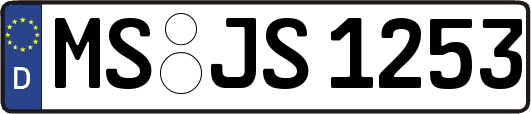 MS-JS1253
