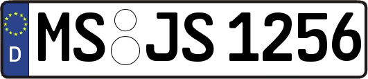 MS-JS1256