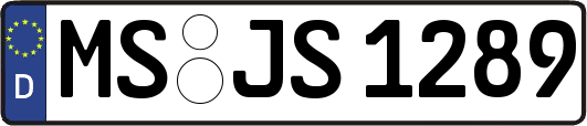 MS-JS1289