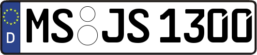 MS-JS1300
