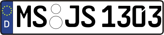 MS-JS1303