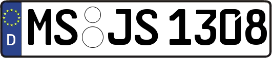 MS-JS1308