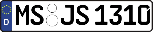 MS-JS1310