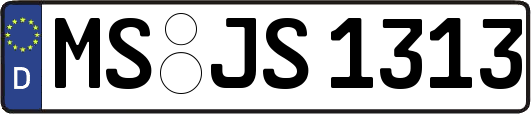 MS-JS1313