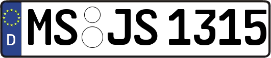 MS-JS1315