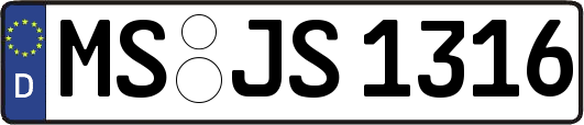 MS-JS1316