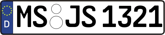 MS-JS1321