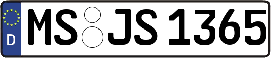 MS-JS1365