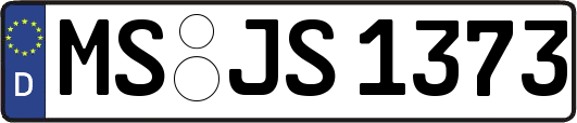 MS-JS1373