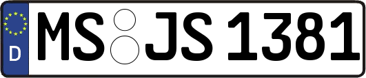 MS-JS1381
