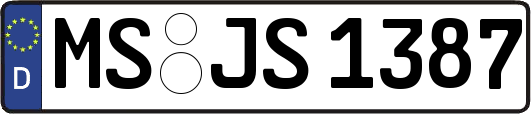 MS-JS1387