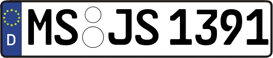 MS-JS1391