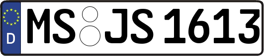 MS-JS1613