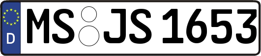 MS-JS1653