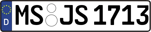 MS-JS1713