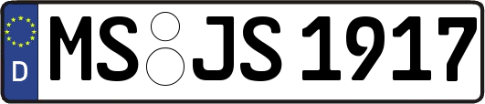 MS-JS1917