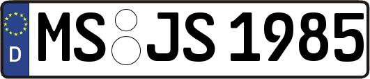 MS-JS1985