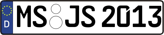 MS-JS2013