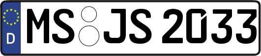 MS-JS2033