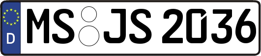 MS-JS2036