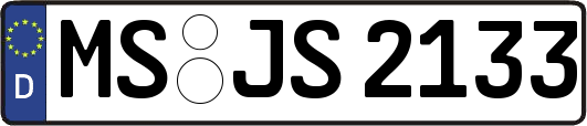 MS-JS2133
