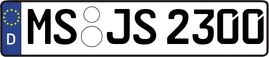 MS-JS2300