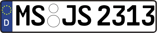 MS-JS2313