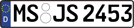 MS-JS2453