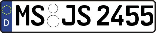 MS-JS2455