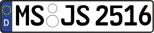 MS-JS2516