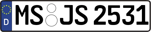 MS-JS2531