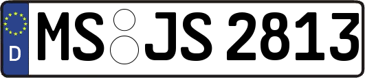 MS-JS2813