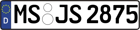 MS-JS2875