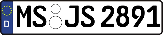 MS-JS2891