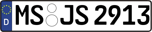 MS-JS2913