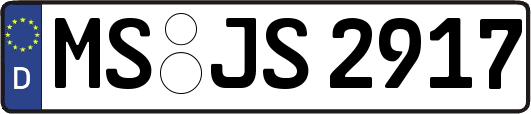 MS-JS2917