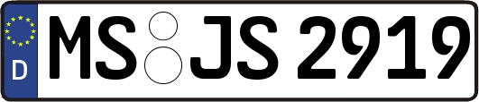 MS-JS2919