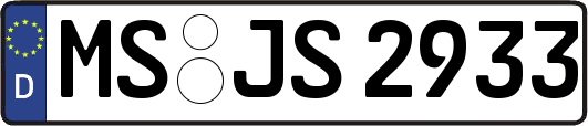 MS-JS2933