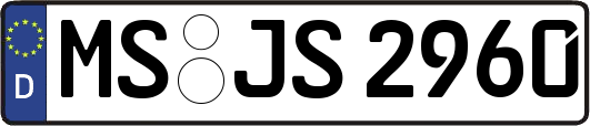 MS-JS2960