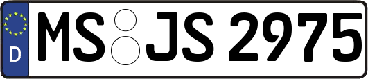 MS-JS2975